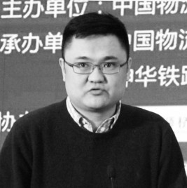 天津狮桥国际物流有限公司CEO 司楠楠: